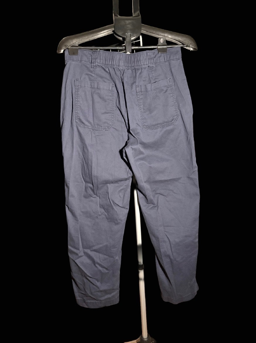 Navy blue pants